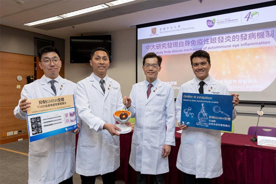 CUHK Research Reveals Pathogenesis of Autoimmune Uveitis