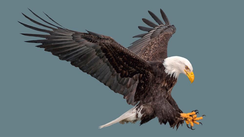 More Short Poems to Introduce You to Classic Poetry