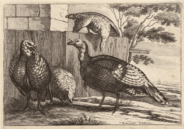 James Baldwin’s ‘Why He Carried the Turkey’