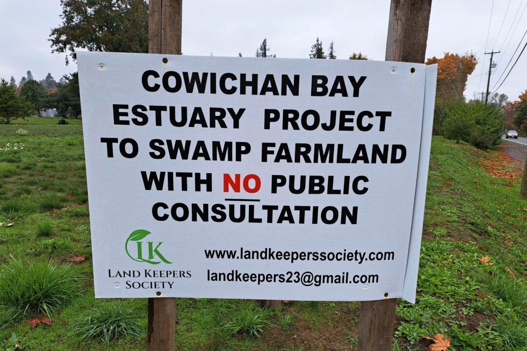 Locals Raise Concerns About Plan to Flood 70-Hectare Vancouver Island Farm for Estuary Expansion Project