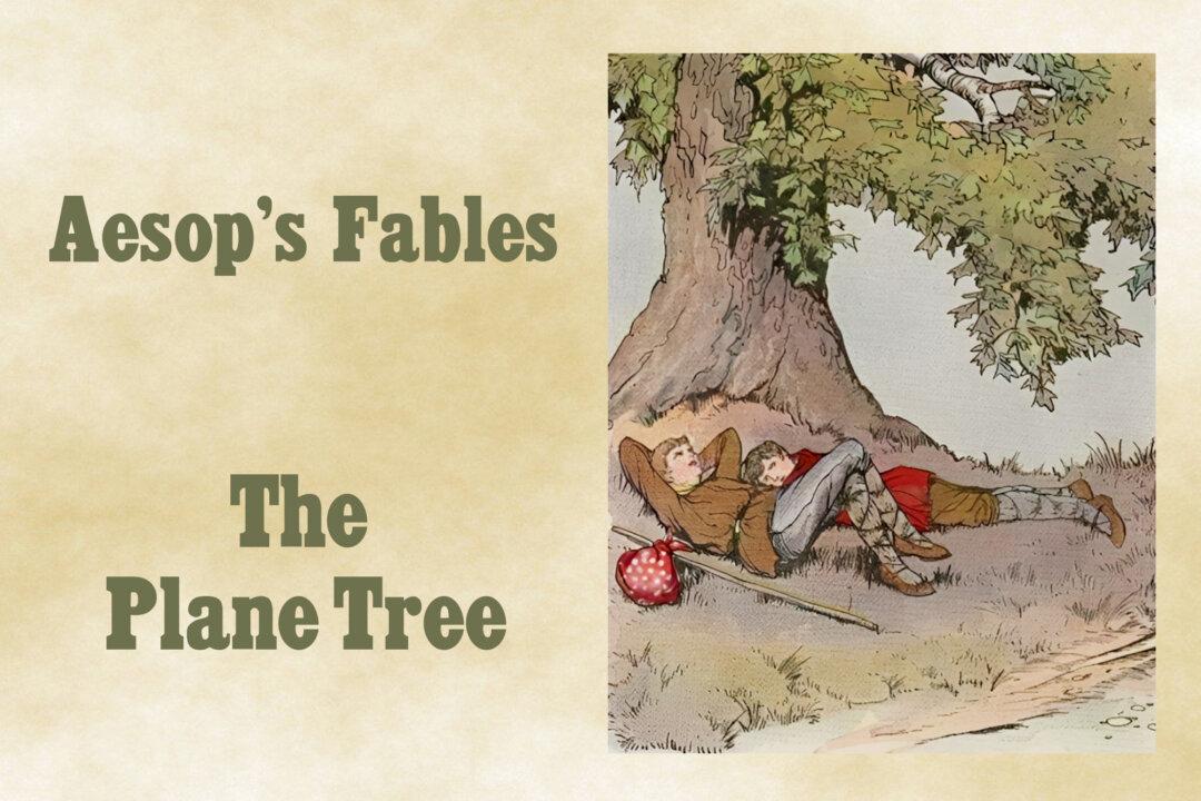 Aesop’s Fables: Our Best Blessings Are Often the Least Appreciated