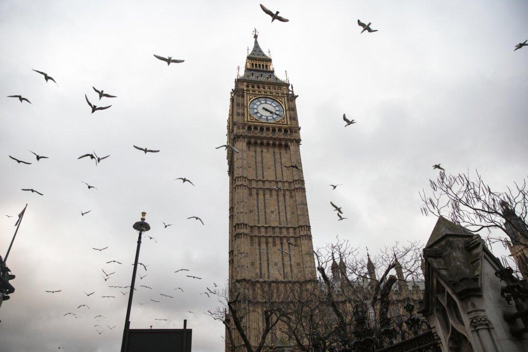 Equality Watchdog Must Be Allowed to Advise, Government Says, After Transgender Groups Report It to UN