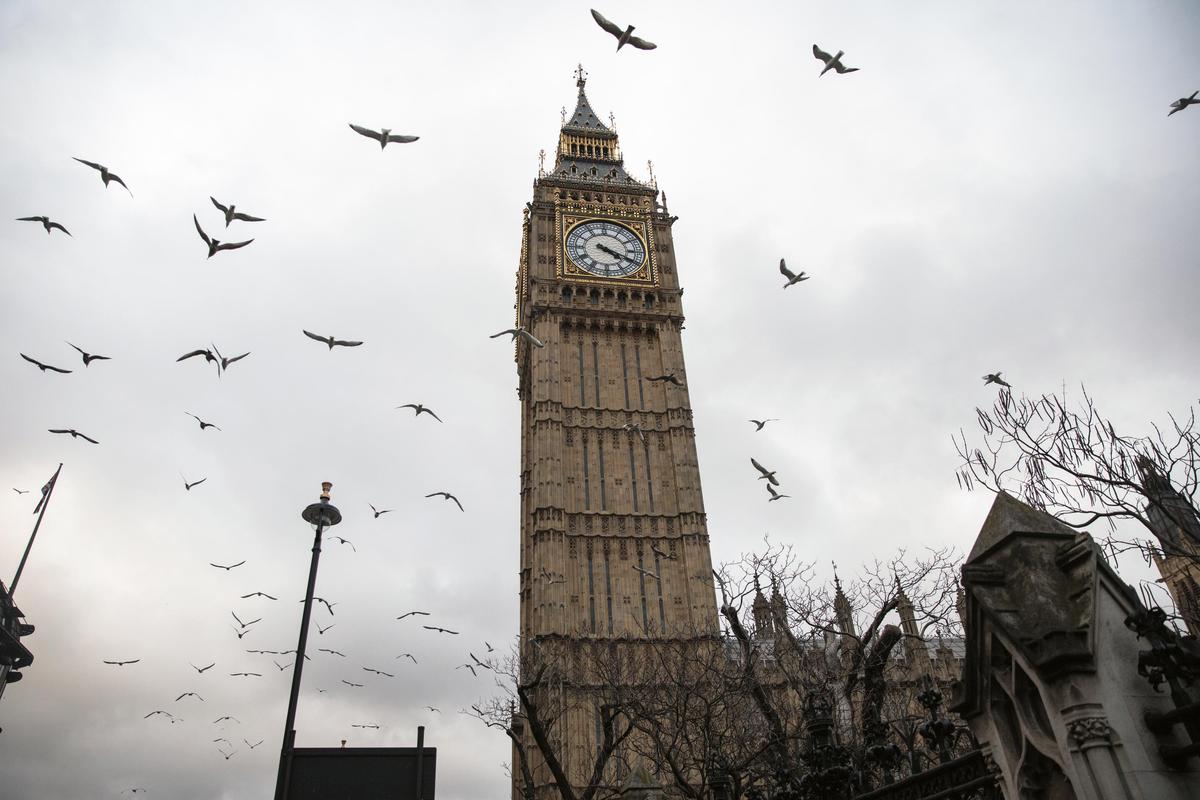 Equality Watchdog Must Be Allowed to Advise, Government Says, After Transgender Groups Report It to UN