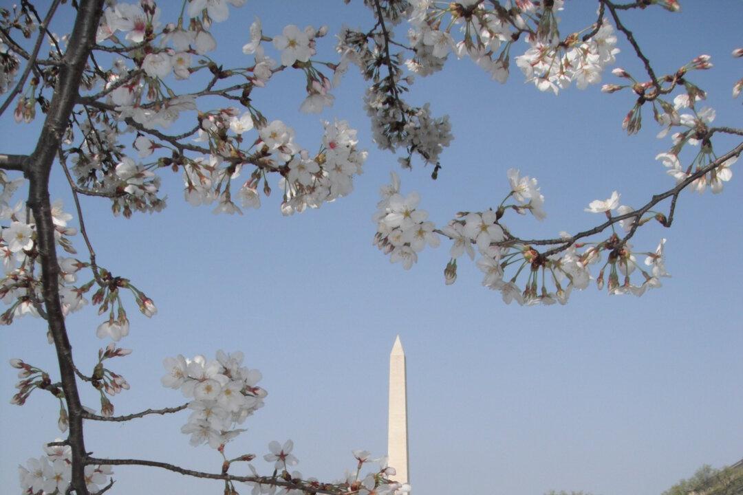 Washington Monuments: Honoring the Father of This Country