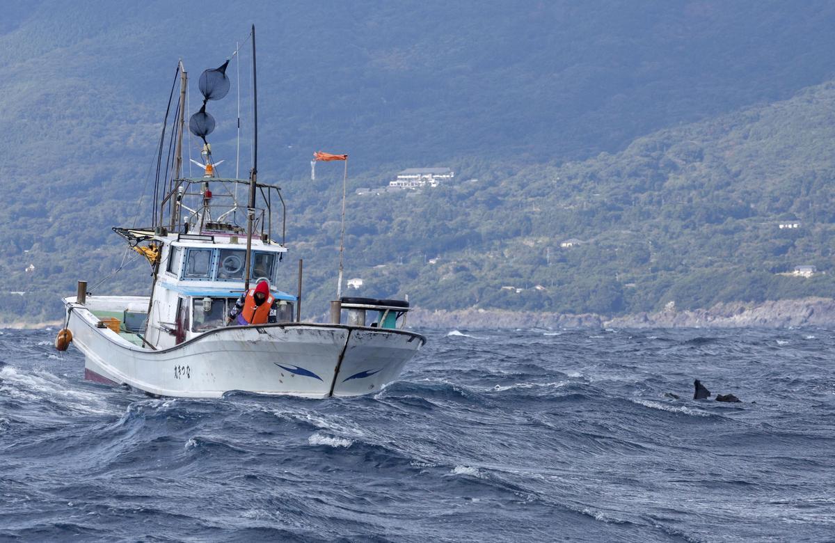 Body of US Airman Recovered as Search for 7 More Crewmembers in Osprey Crash Continues