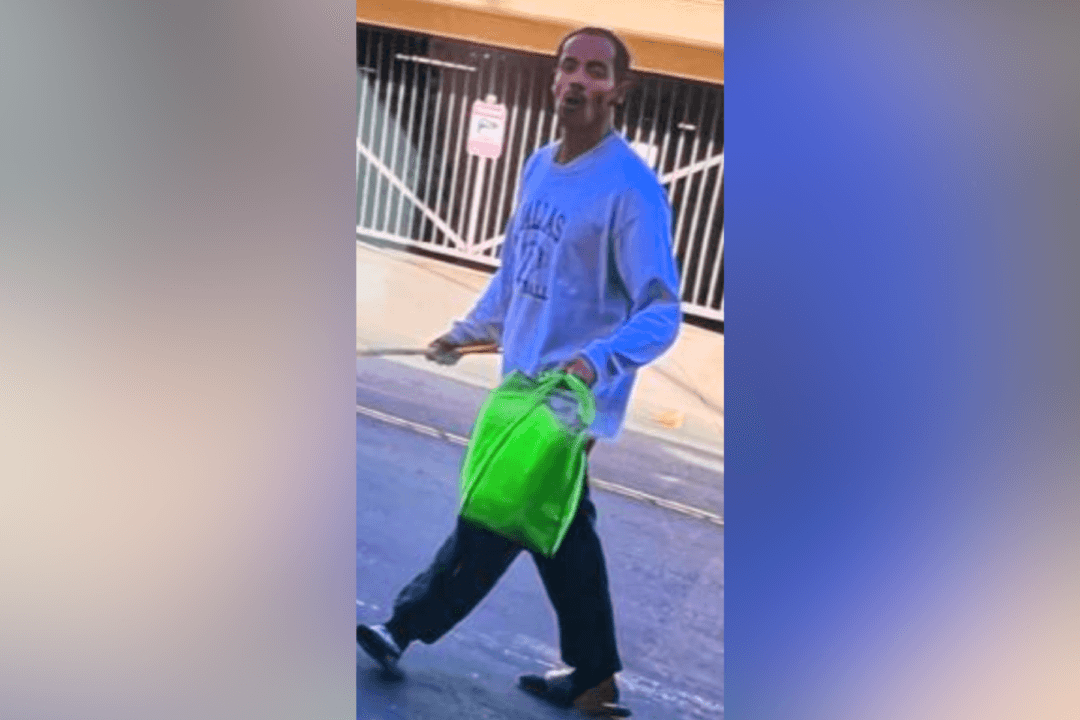 Crowbar-Wielding Man Damaged Nearly 30 Cars in Los Angeles