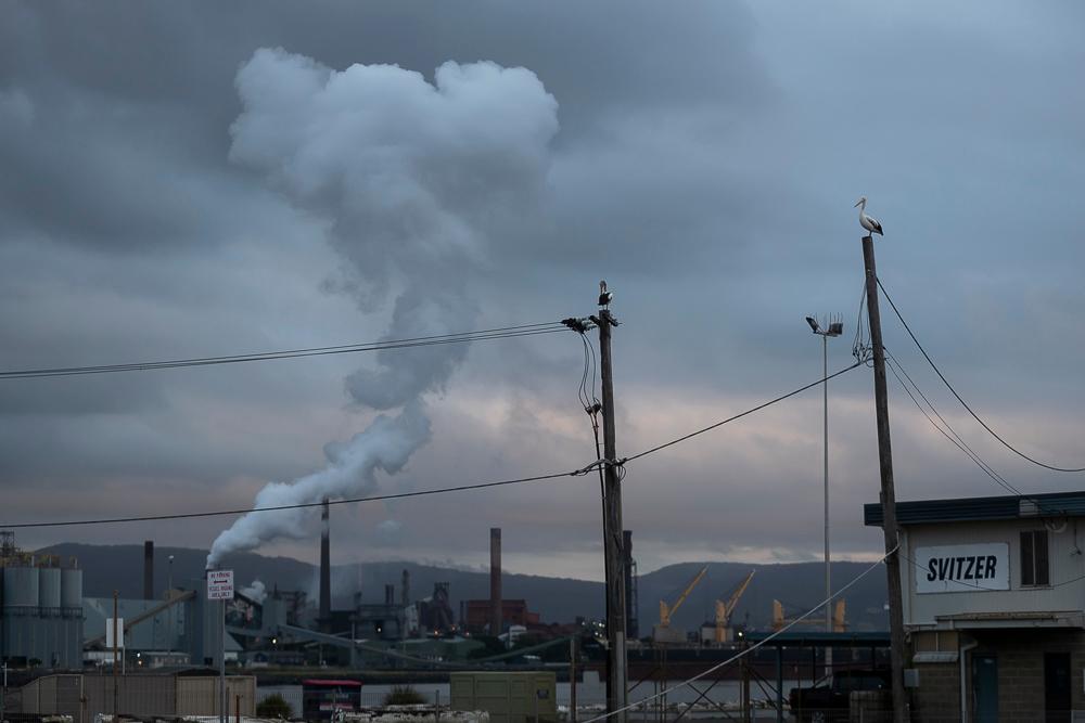 Australian Government in Search of ‘Carbon Accounting’ Software