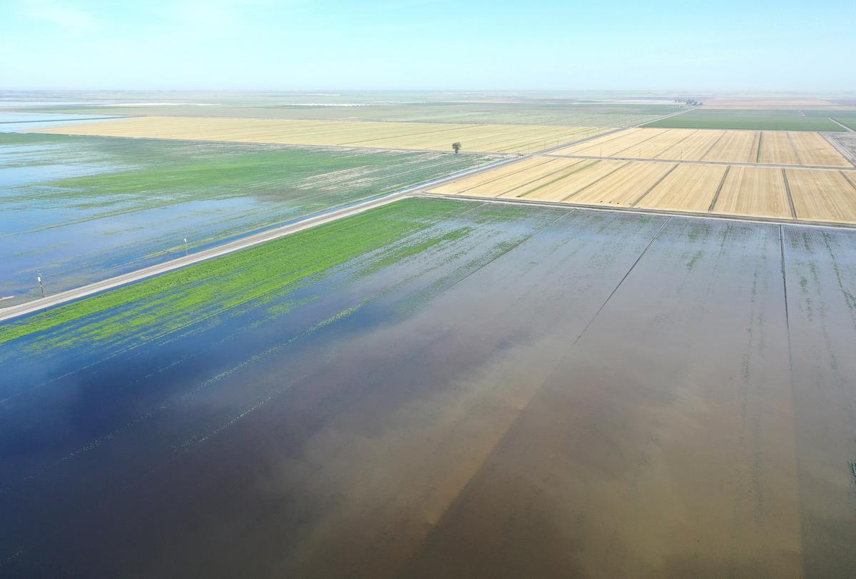 Death by Ecology: Killing California, America Next?