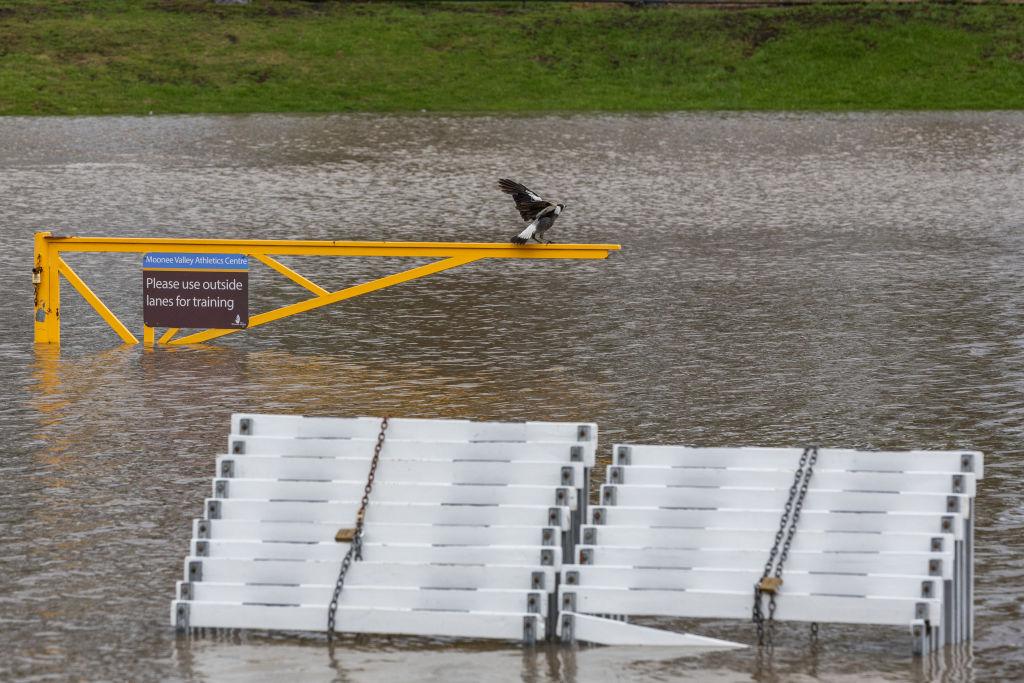 Extreme Weather Events Take Enormous Toll on Australia