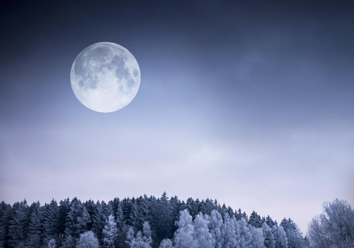 Full ‘Cold Moon’ Will Rise to the Top of the Sky Around Christmas—Here’s What You Need to Know