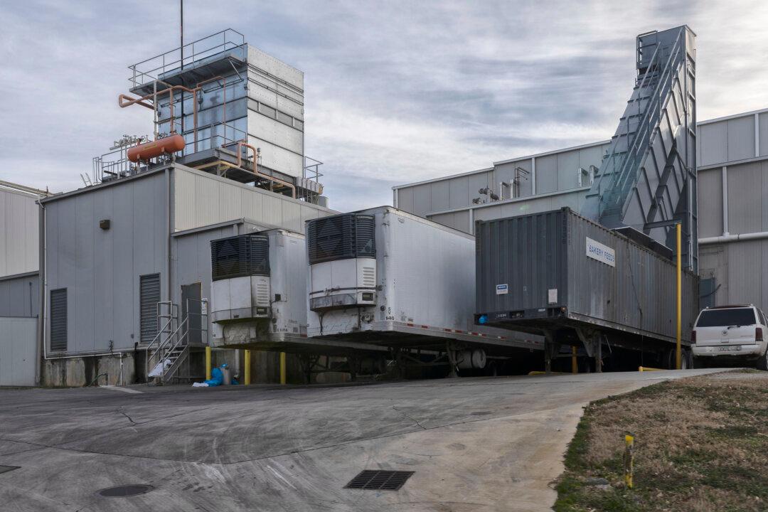 US Agency Concludes Chemical Leak That Killed 6 Georgia Poultry Workers Was ‘Completely Preventable’