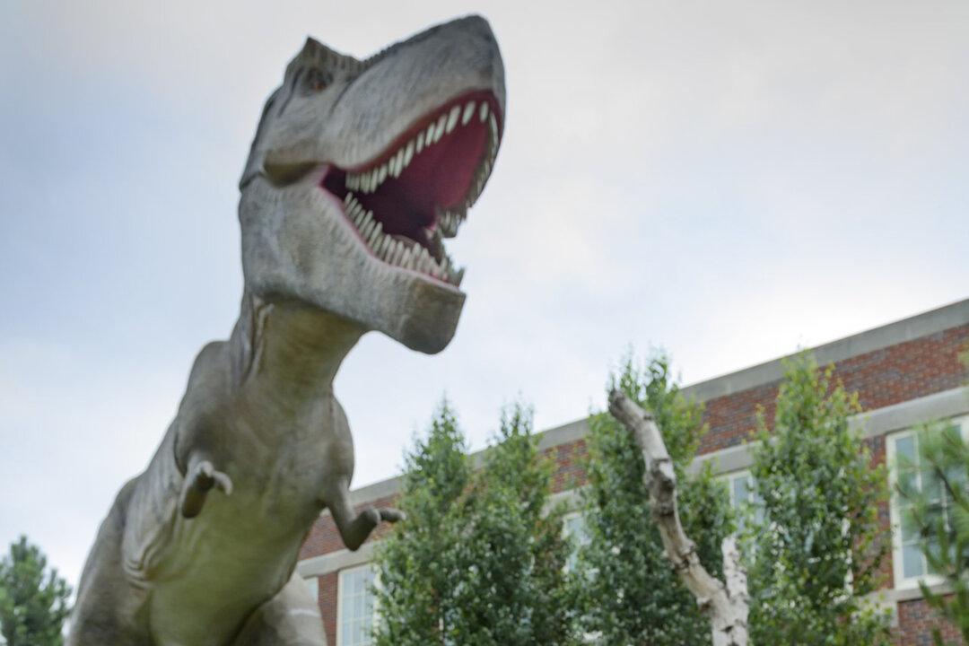 20 Do’s and Don’ts of Traveling With Kids