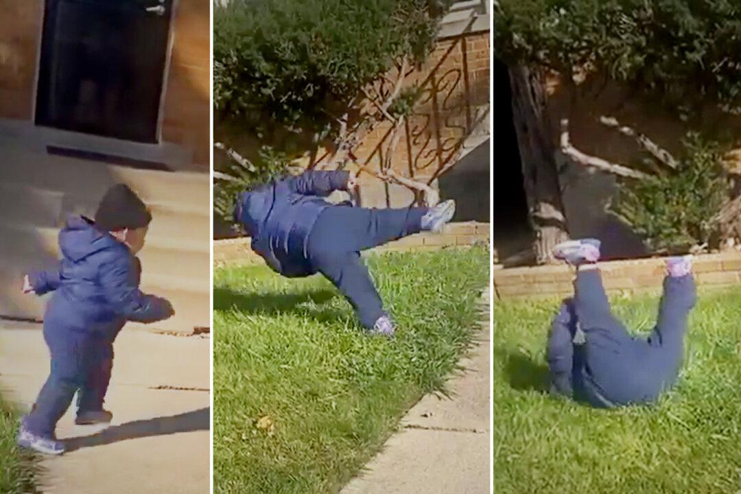 Adorable Toddler Tries His Best to Do a Cartwheel Like His Big Sister, His Hilarious Impression Goes Viral