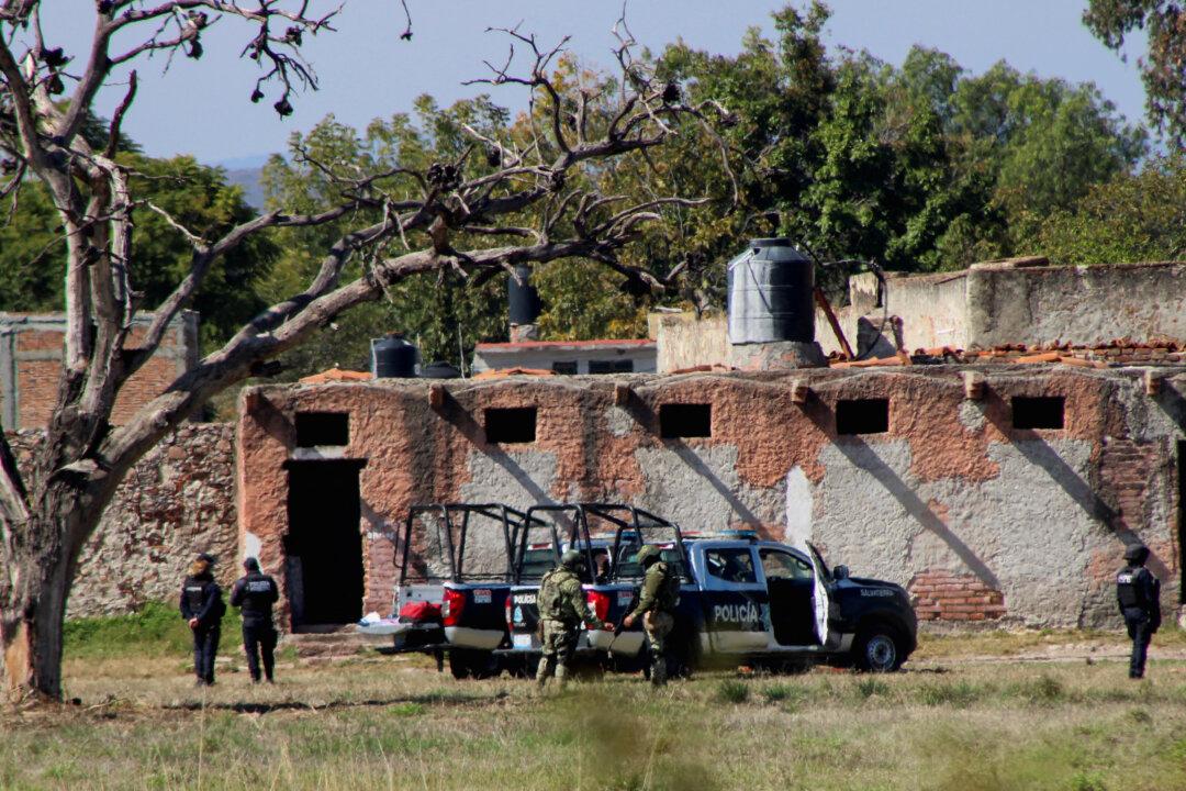 Attack at Mexico Holiday Party Leaves 12 Dead: Authorities