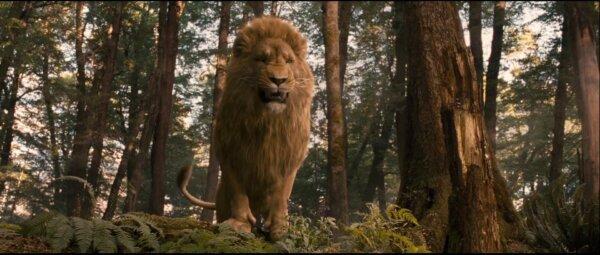 Aslan, a main character in "The Chronicles of Narnia: The Lion, the Witch, and the Wardrobe." (Walt Disney Pictures)
