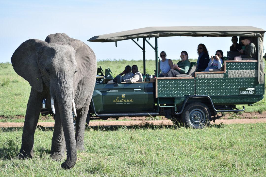 Kenya Opening Visa-Free Travel for International Tourists