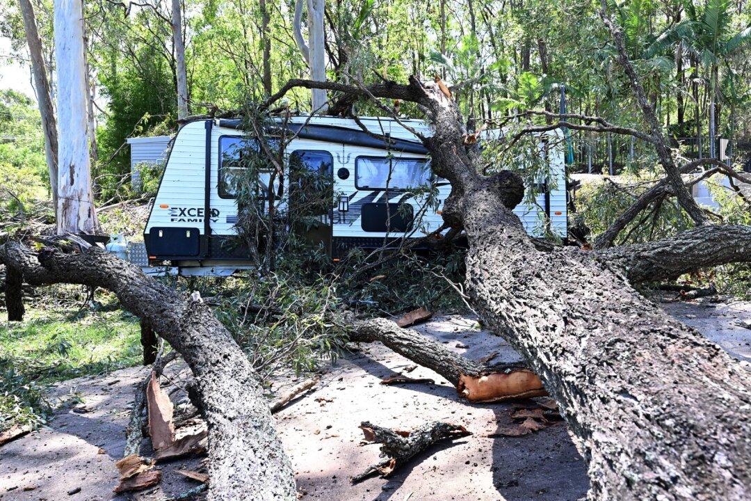 Woman Killed by Falling Tree as Storms Lash Queensland