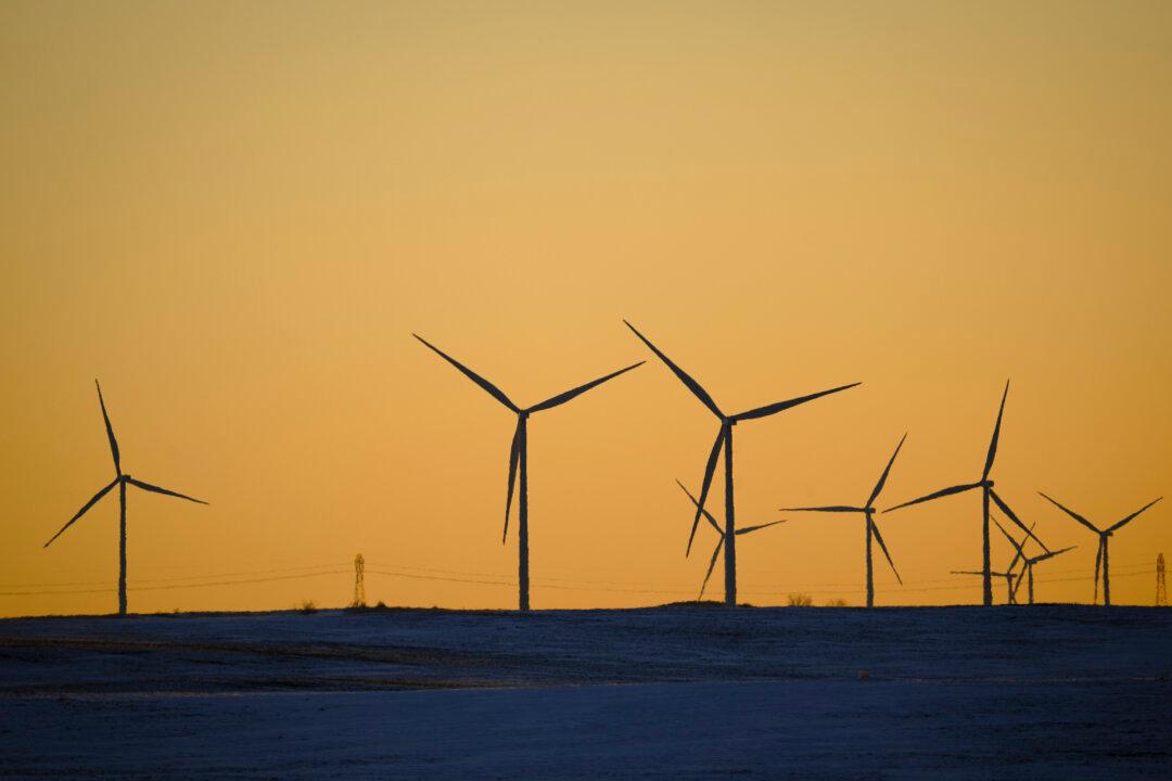 US Power Grid May Become Unreliable This Summer, Watchdog Warns