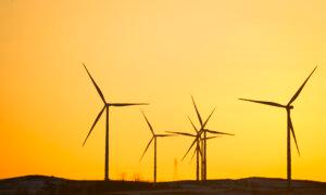 Community Sues to Limit Operation of 100-Turbine Wind Farm on Environmental Grounds