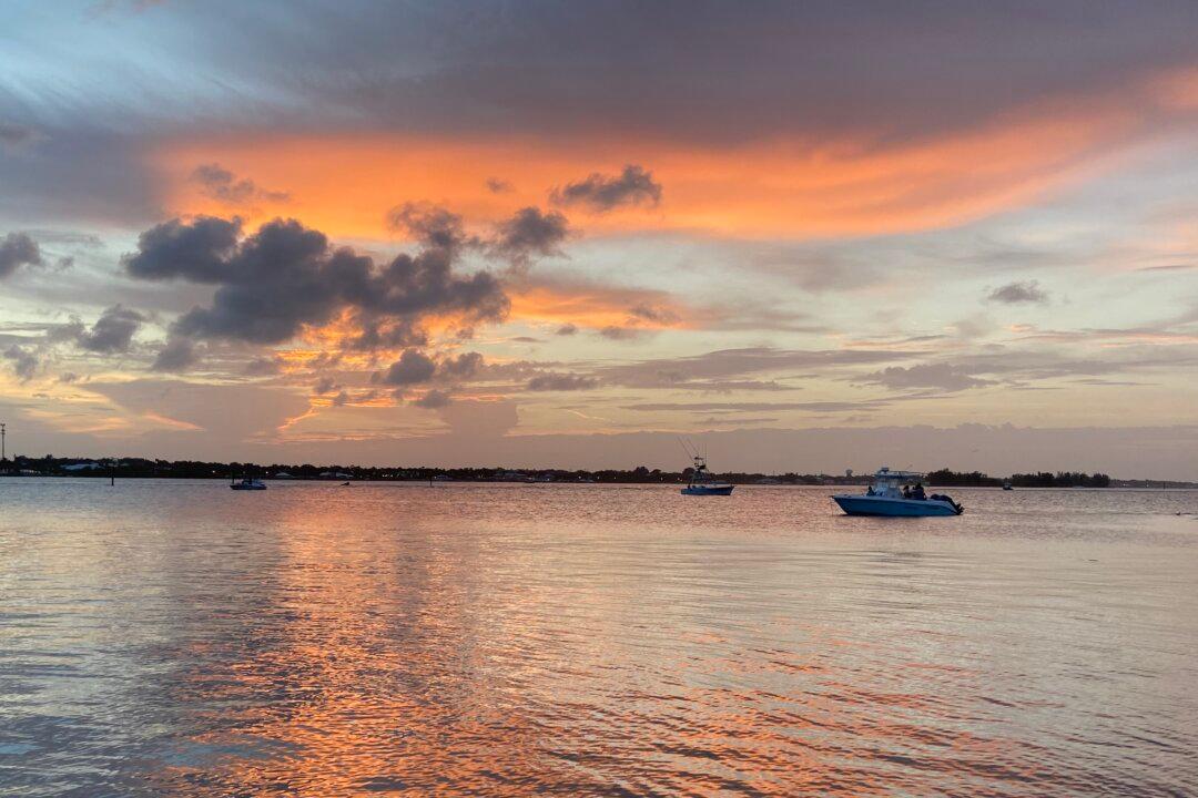 DeSantis Awards $100 Million to Protect North America’s ‘Most Biologically Diverse’ Estuary