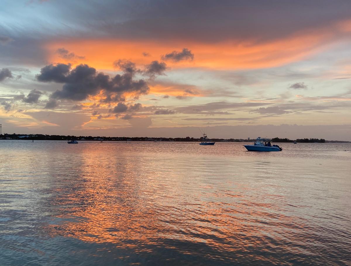 DeSantis Awards $100 Million to Protect North America’s ‘Most Biologically Diverse’ Estuary