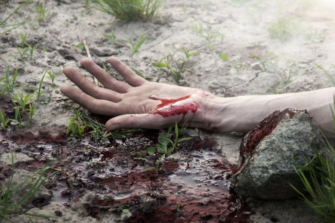 How the Madness of Crowds Wrecked Something Navy