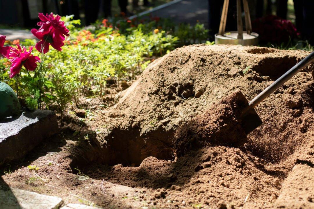 The Wuhan Cover-Up: Review of Bobby Kennedy’s Crucial Book