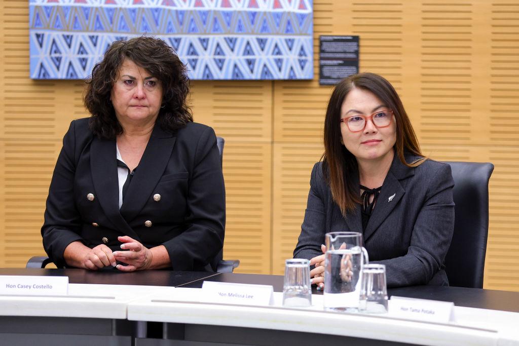 NZ Minister Denies Asking Ministry About Lowering Tobacco Taxes