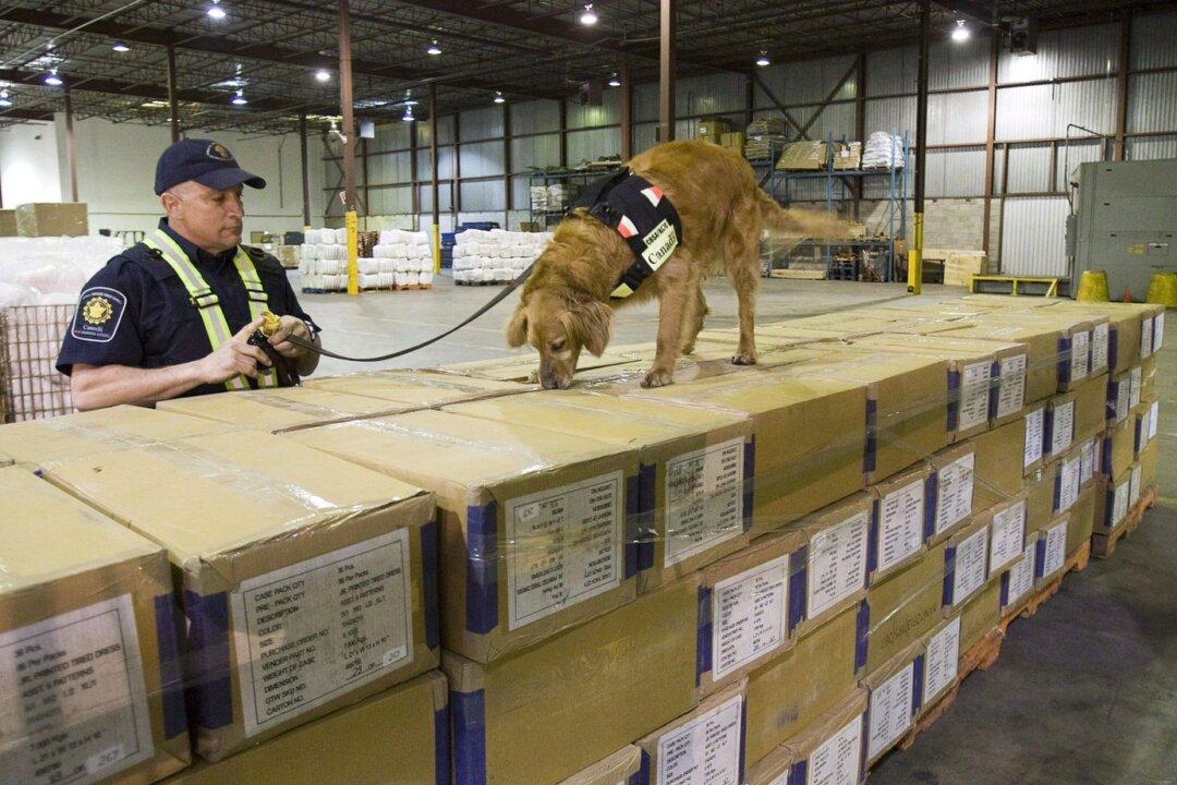 Detector Dogs Could Help Sniff out More Fentanyl, Firearms at Border, Review Suggests