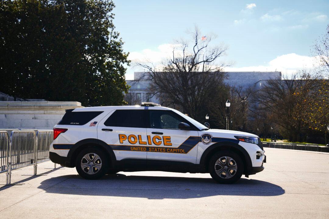 Budget Hearing Examines US Capitol Police
