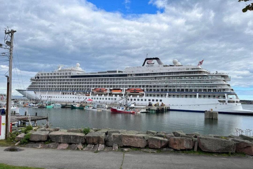 Viking and Grownups Make an Ideal Pairing