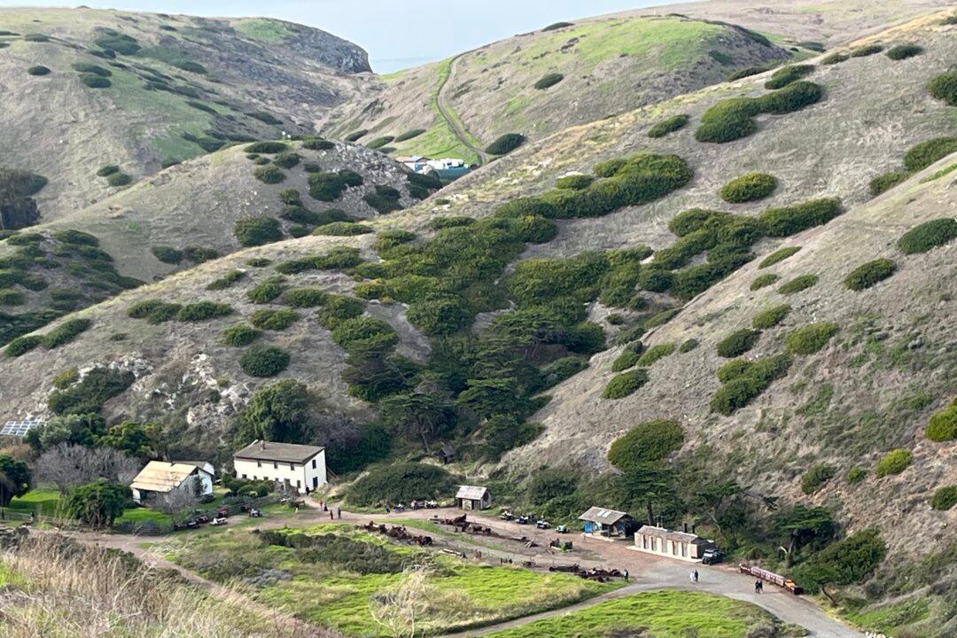 Remnants of a Remote Ranch: Thousands of Sheep Once Roamed Islands Now Preserved by NPS