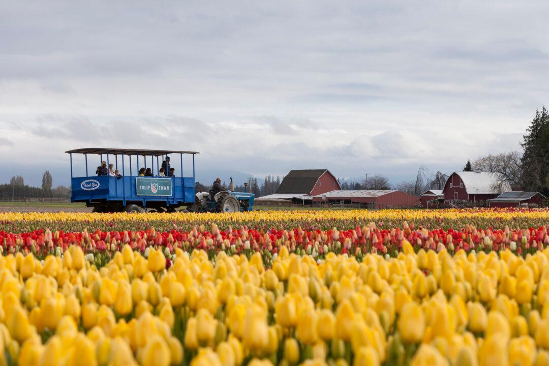6 Best Farm Tours in the Western US Include a Napa Valley Entry