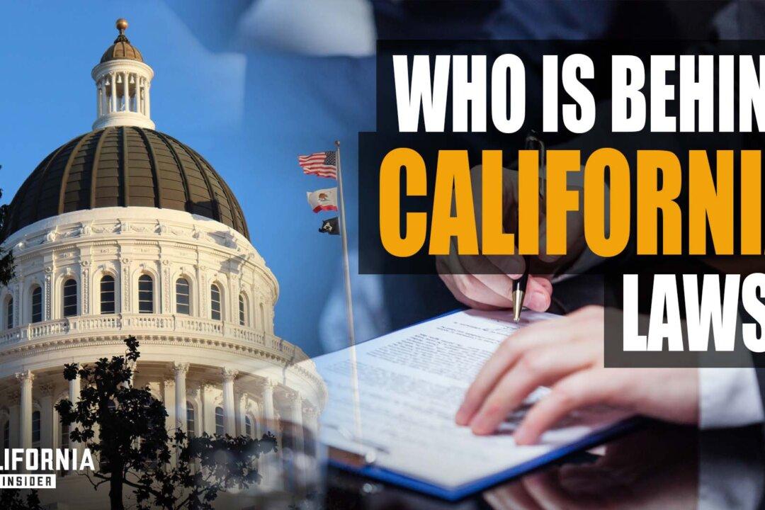 What Most People Don’t Know About California’s Lawmaking Process | Melissa Melendez