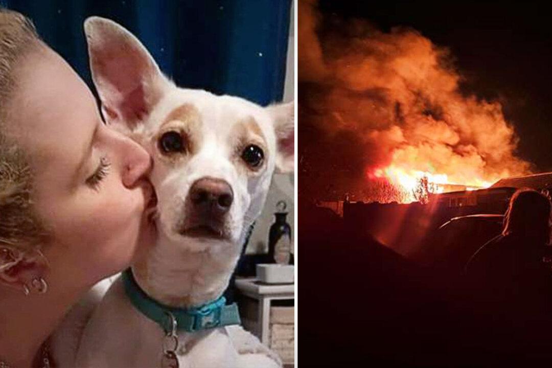 Woman Who Lost Everything in Devastating Fire Credits Her Dog With Saving Her Life