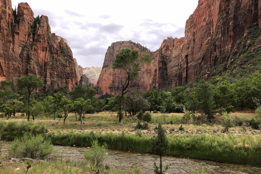 Which National Parks Will Require Timed-Entry Reservations in 2024? Take a Look