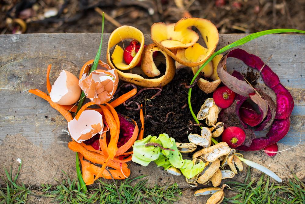 Worms love low-acidic fruits that can be easily digested.(Ann Bulashenko/Shutterstock)