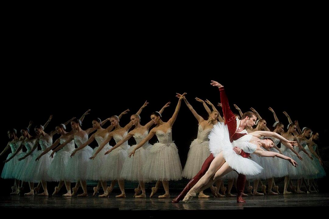 Dancing Swans: ‘The Dying Swan’ Versus ‘Swan Lake’