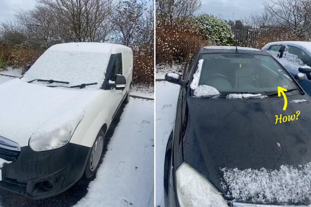 VIDEO: Delivery Driver Reveals Genius Hack That Stops His Car’s Windshield From Freezing Overnight