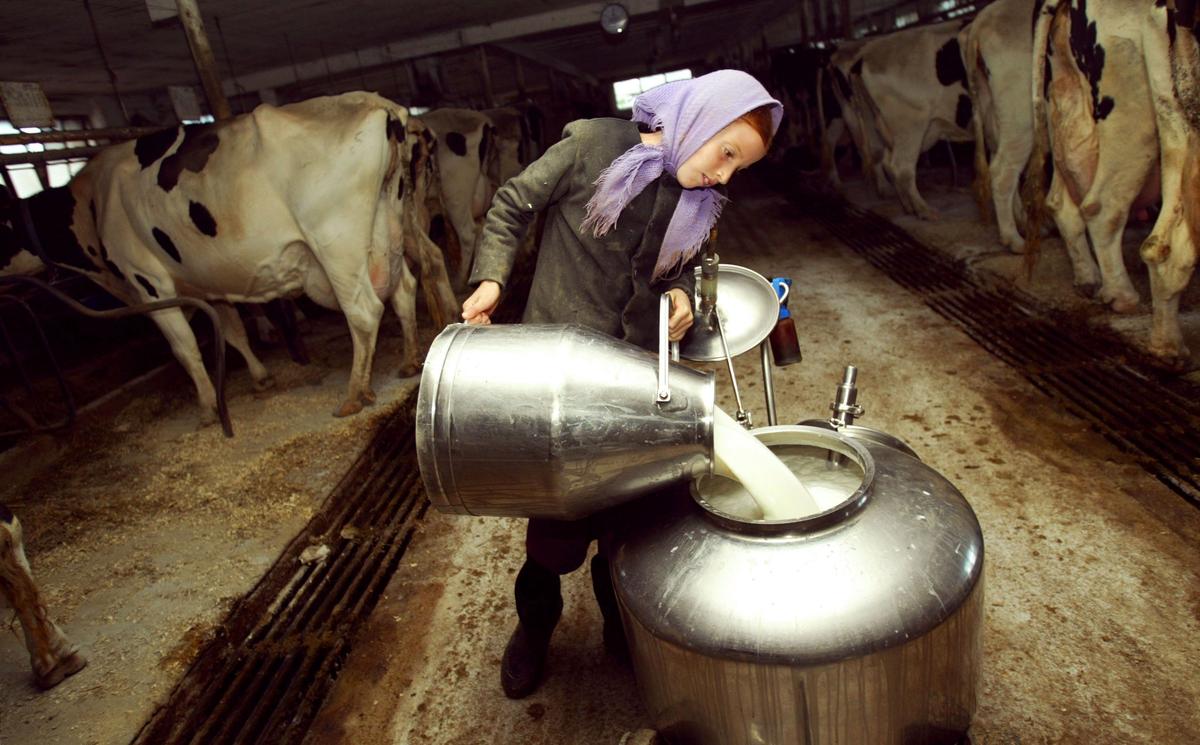 After Raiding Farm, Pennsylvania Authorities Sue Amish Farmer Over Raw Milk