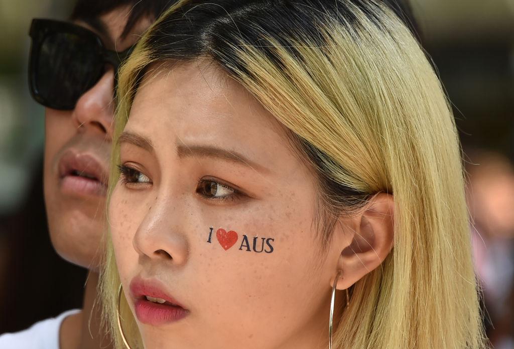 Multicultural Project Beginning to Fray, Report Suggests