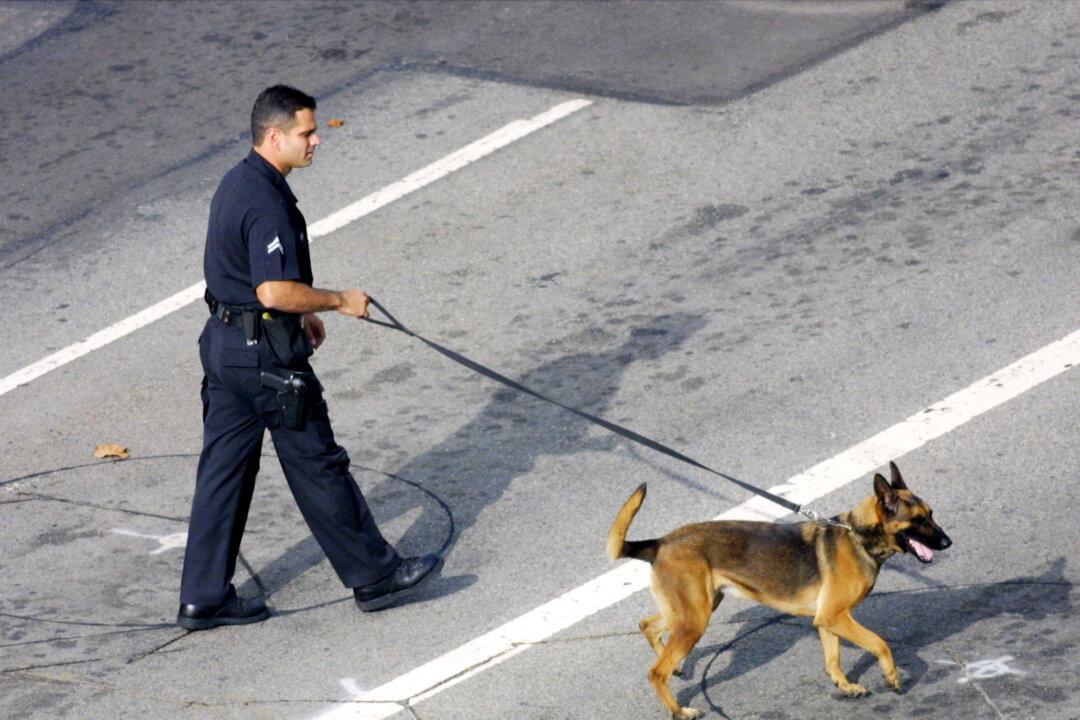 6 Arrested in Raid Targeting San Fernando Valley Drug Ring