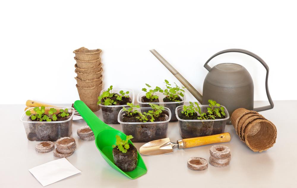 A Garden Jump Start: Tips for Being Your Own Nursery