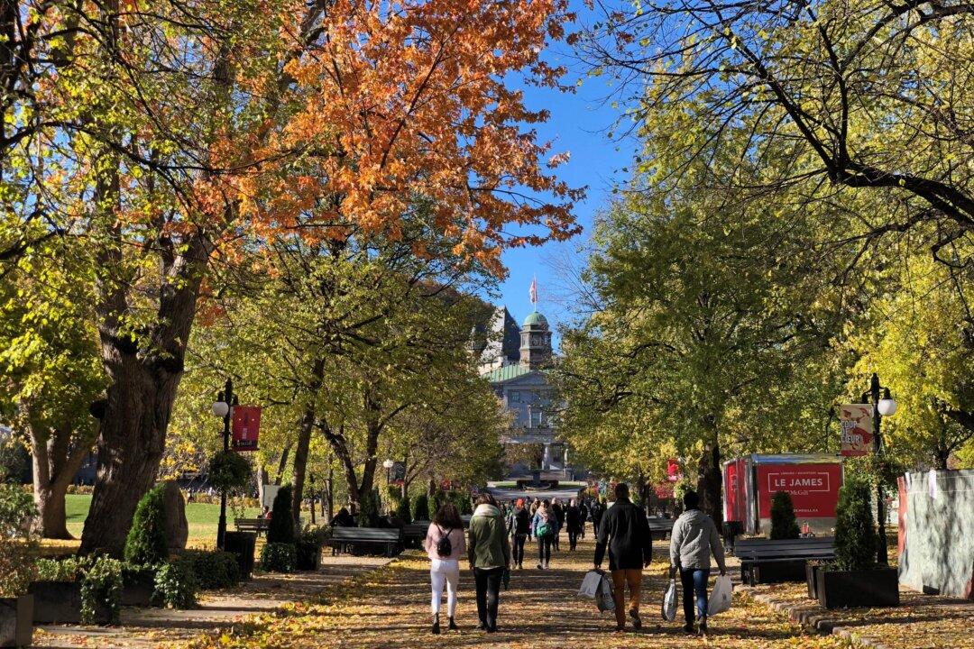 John Robson: The Cascading Chain of Policy Disasters Hitting Universities