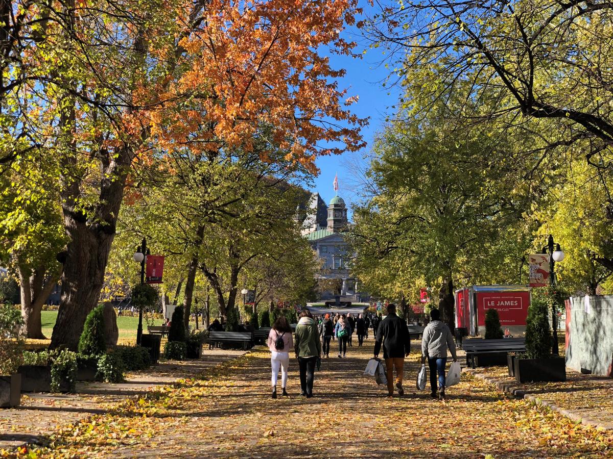 John Robson: The Cascading Chain of Policy Disasters Hitting Universities