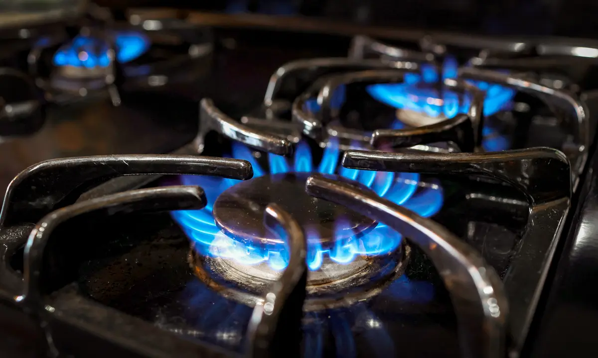 Appeals Court Sets Aside Biden-Era Energy Standards for Stoves, Ovens