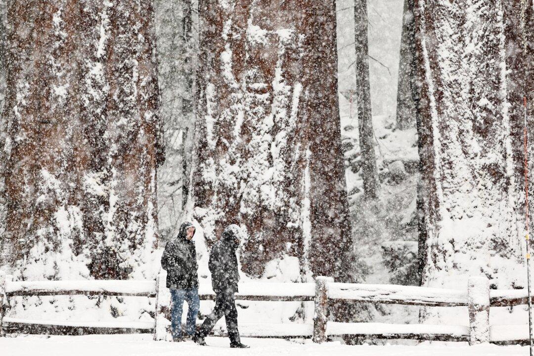 Blizzard Warning Issued Ahead of California’s Next Storm