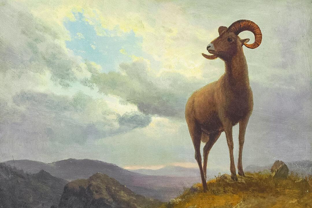 Bierstadt’s Beasts