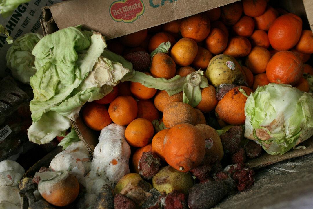 Nearly Half of Canada’s Food Production Goes to Waste Every Year, Report Says