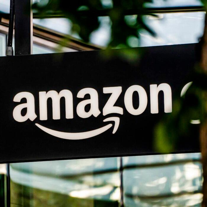 Experts Warn of ‘Digital Enslavement’ as Amazon Pushes Palm-Scan Payment Service
